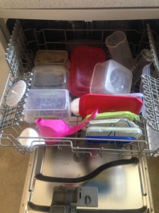 Tupperware in dishwasher after one day...